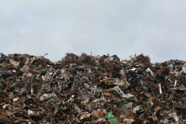 Waste company near me