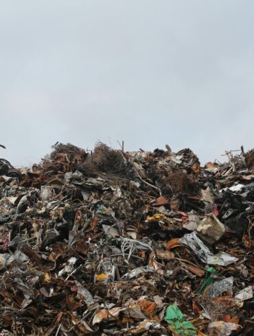 Waste company near me