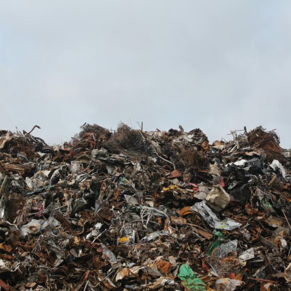 Waste company near me