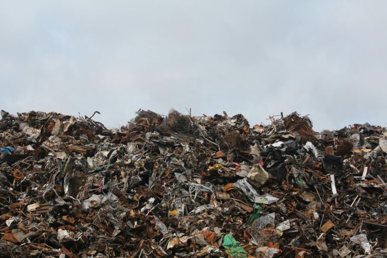Waste company near me
